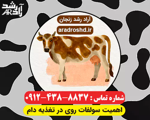 اهمیت سولفات روی در خوراک دام و طیور