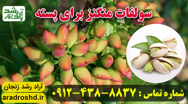 سولفات منگنز برای پسته