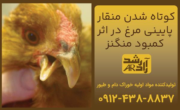 اهمیت منگنز برای طیور