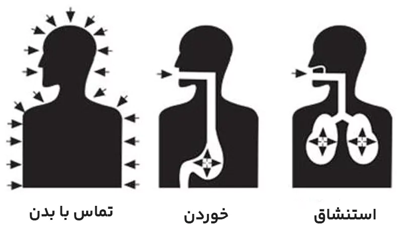 مواردی که موجب می‌شود سم روی بدن ما اثر بگذارد